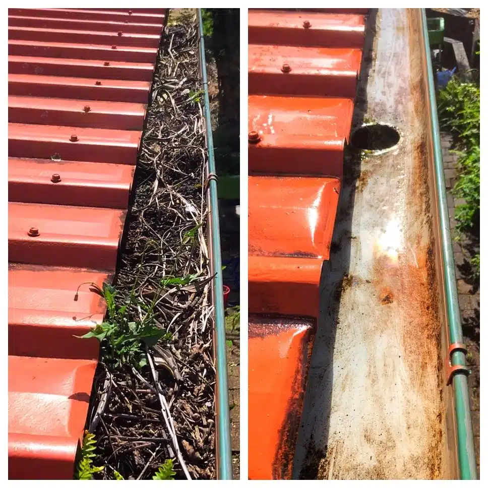 gutter-cleaning-01-min