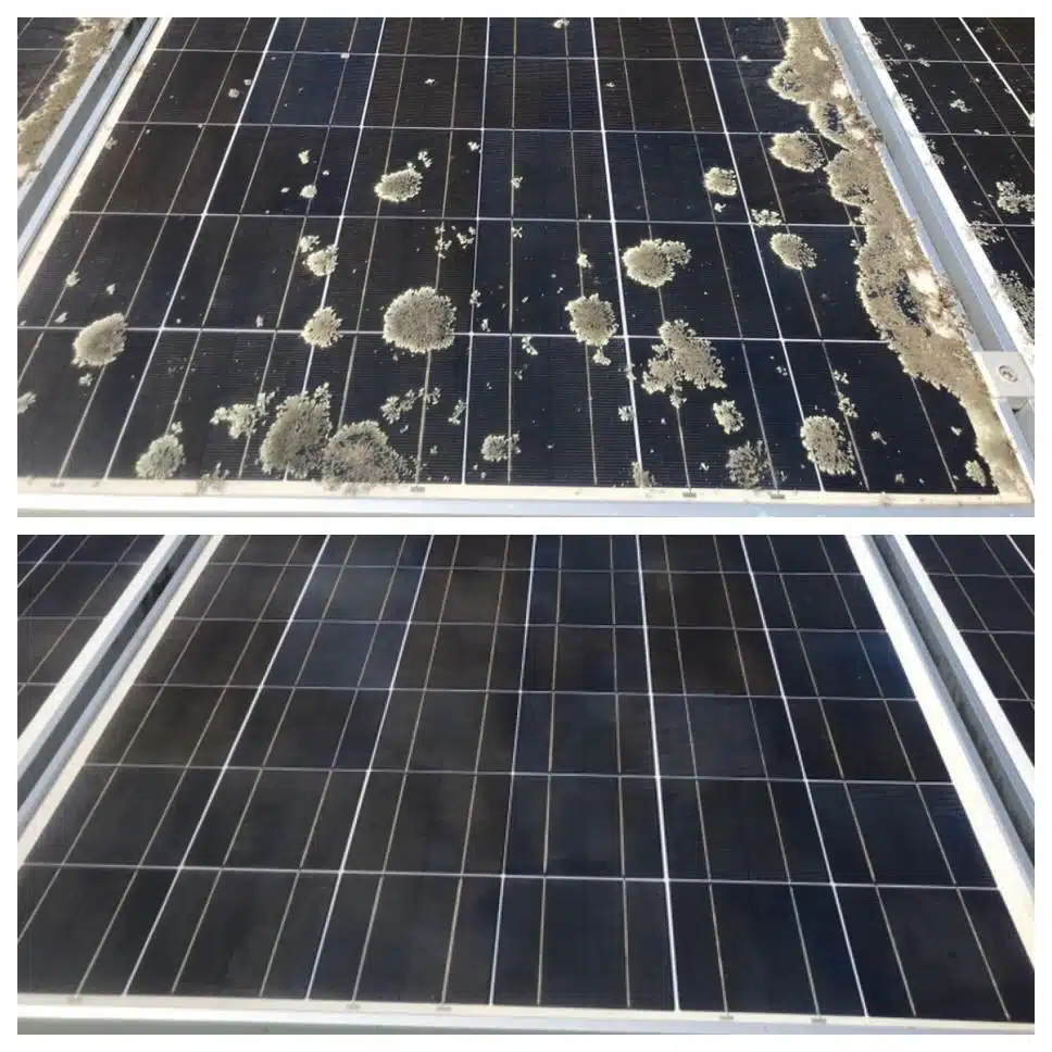 solar-panel-cleaning-01-min